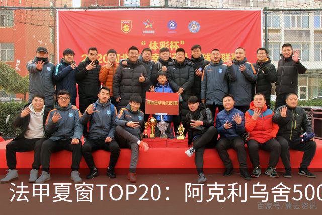 法甲夏窗TOP20：阿克利乌舍5000万欧成标王，费兰4850万欧第二